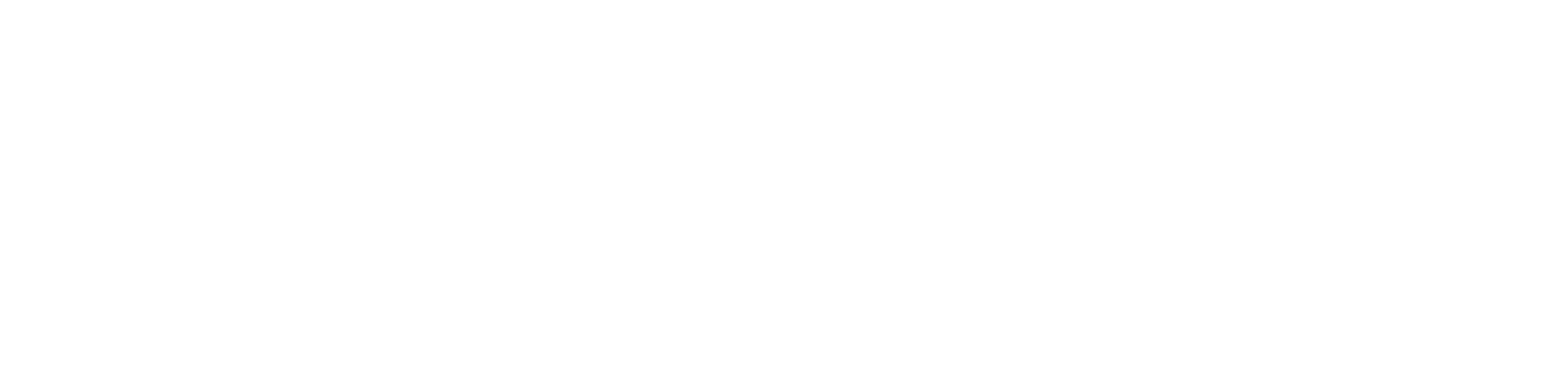 Application Programming Interface